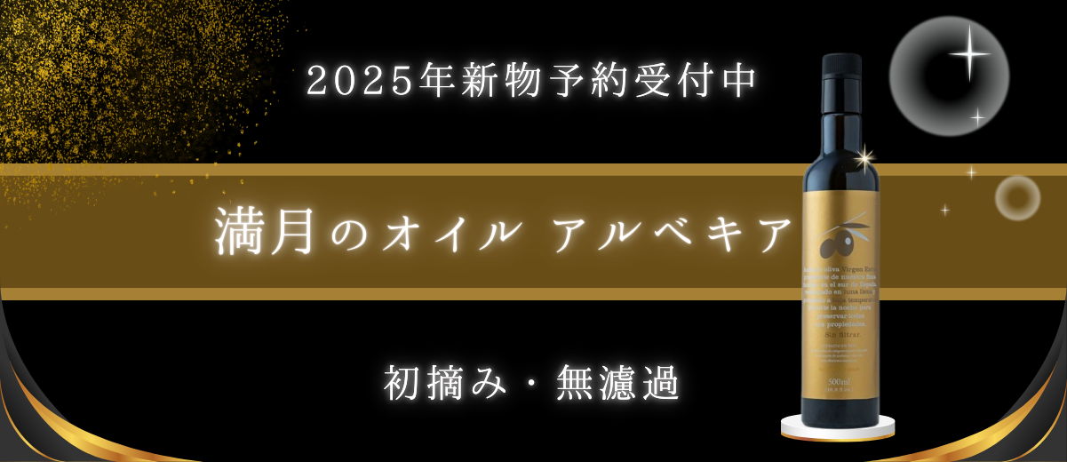 2025アルベキア.png