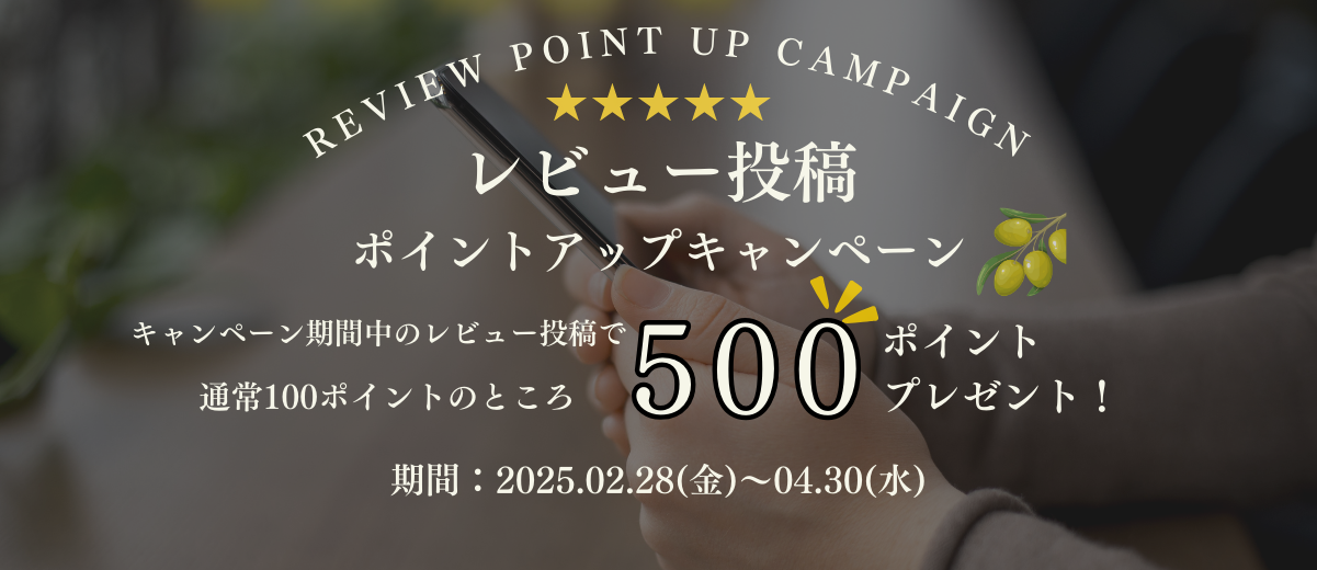 レビューキャンペーン.png